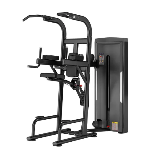 EASY CHIN/DIP FIT-08E, machine Atletisport