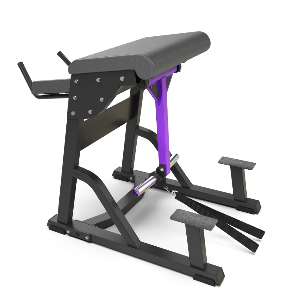 Reverse Hyper A-B05, Atletis Booty Atletisport