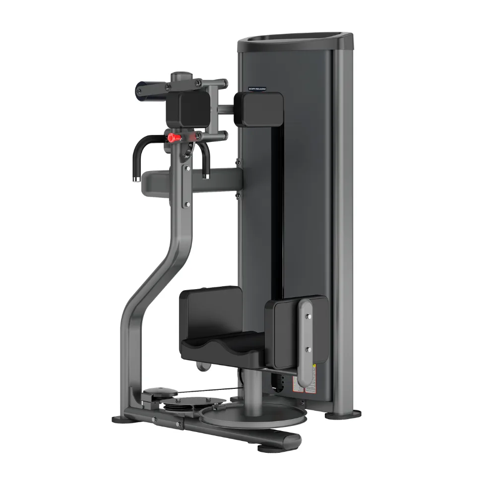 Rotary Torso DA-FIT-10D, Atletisport Atletisport