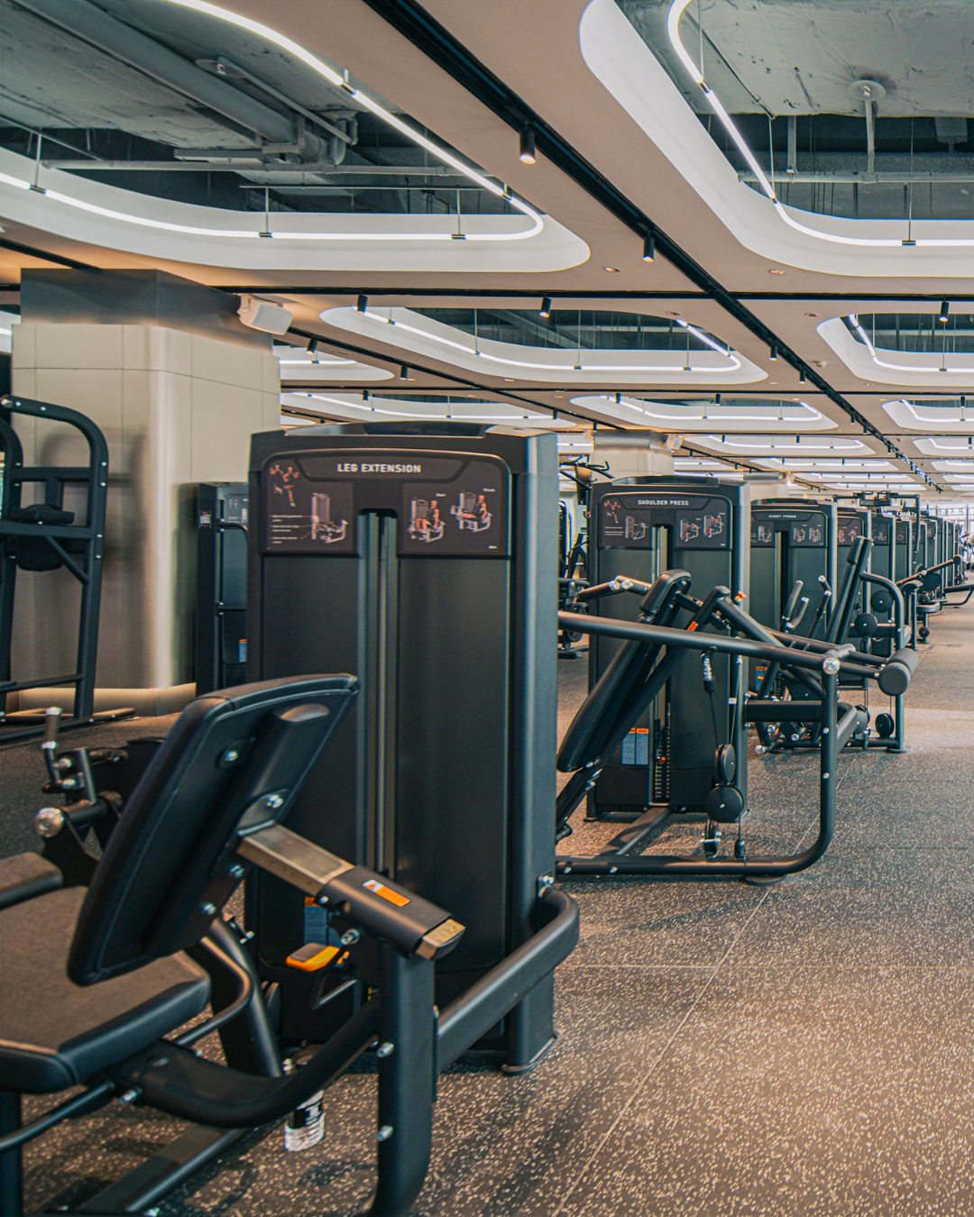 Organiser la zone musculation en différentes aires-Atletisport